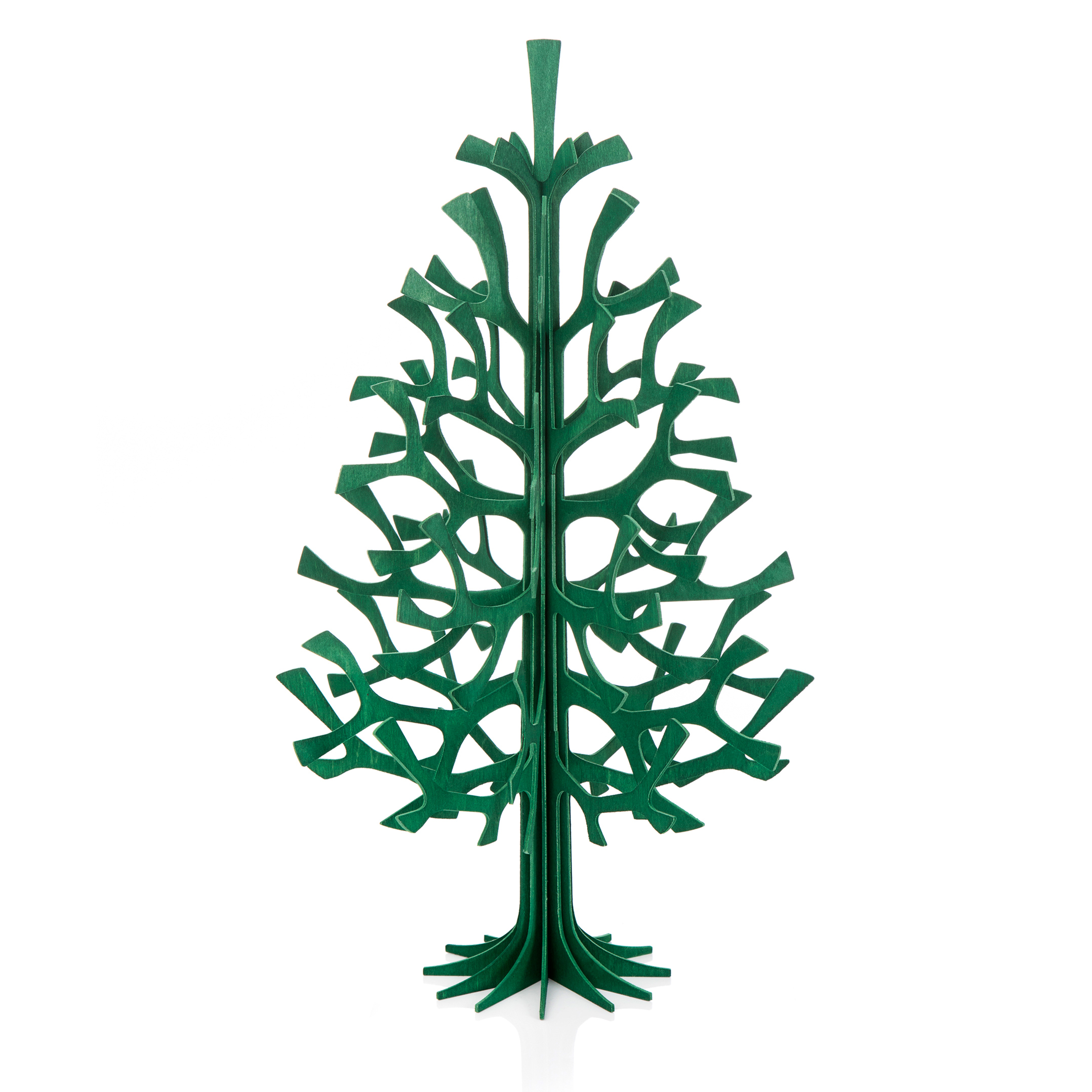 Lovi Spruce Tree